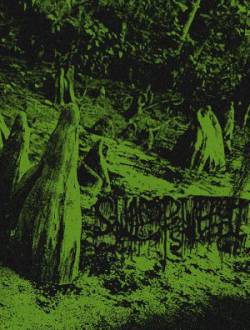 Swamp Witch : Gnosis